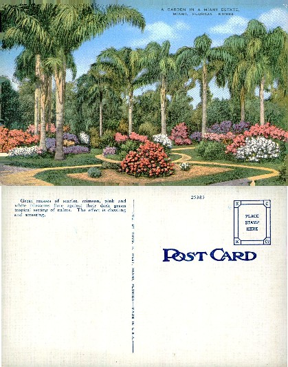 Garden in Miami Estate with Palms