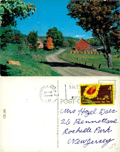 Rural Farm Scene with Cow