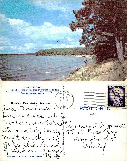 Lakeshore with Pine Trees