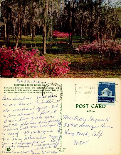 Southern Garden with Moss & Azaleas