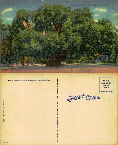 Lover's Oak Tree