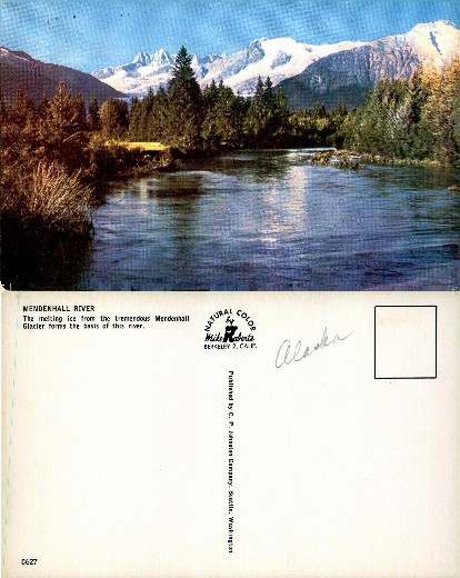 Mendenhall River with Glacier Mountains