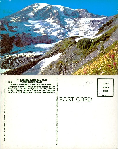 Mt. Rainier with Glaciers & Flowers