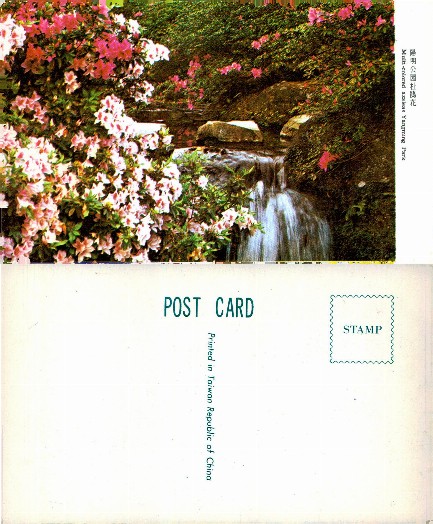Azaleas and Waterfall in Park