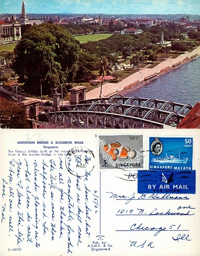 Anderson Bridge & City Skyline