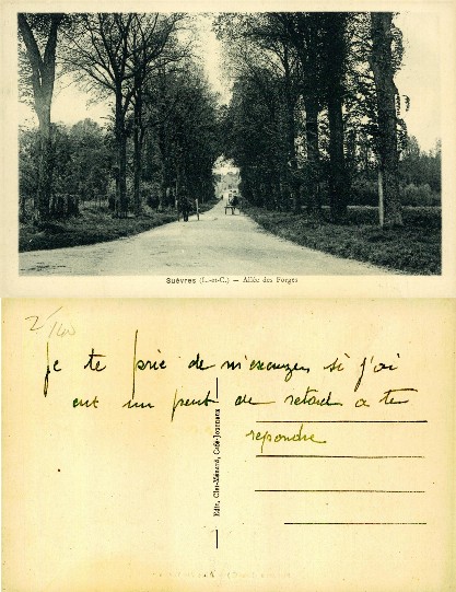 Tree-lined avenue with horse carts