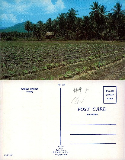 Market Garden with Hut and Palms
