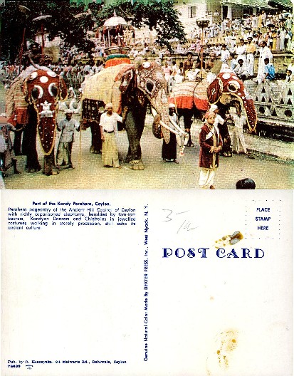 Kandy Perahera Elephant Procession
