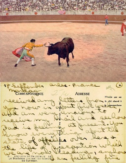 Matador Touches Bull's Horns