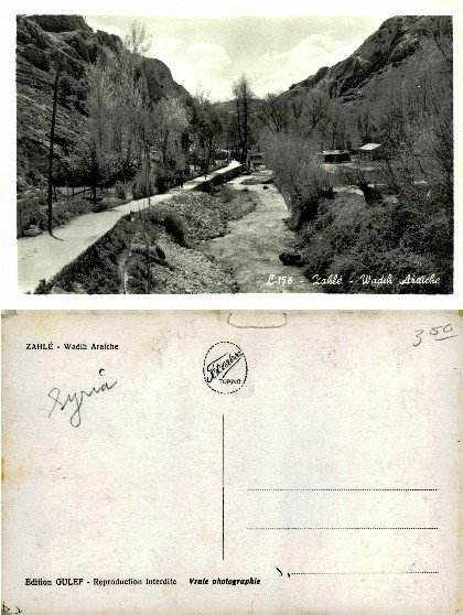 Zahle Wadih Araiche Valley Scene