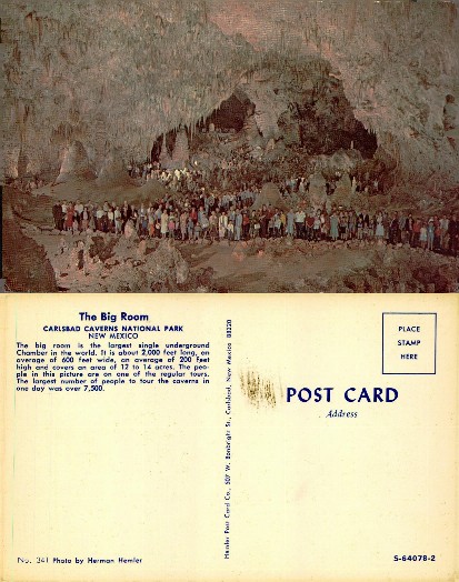 The Big Room, Carlsbad Caverns