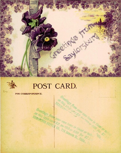 Pansies and 'Greetings from Saylorsburg'