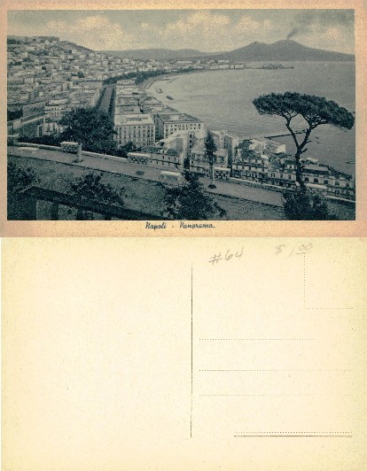 Coastal City and Smoking Volcano