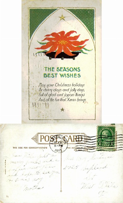Christmas Flower and Season's Wishes