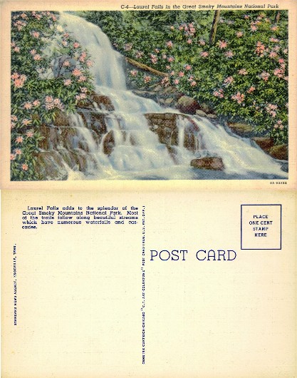 Laurel Falls in Great Smoky Mountains