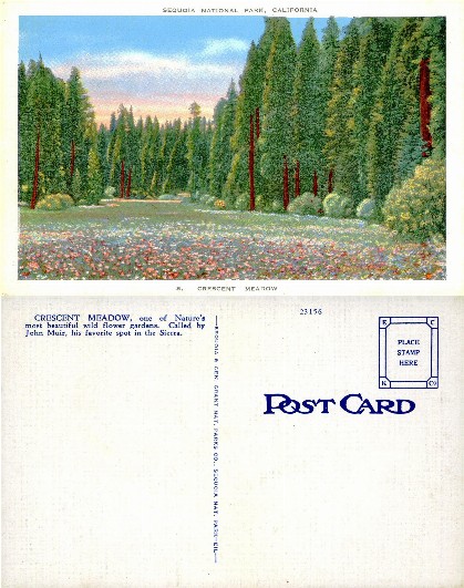 Crescent Meadow & Giant Sequoias