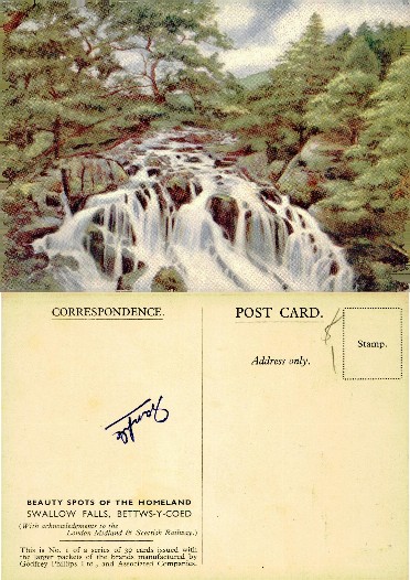 Waterfall in Forest Landscape