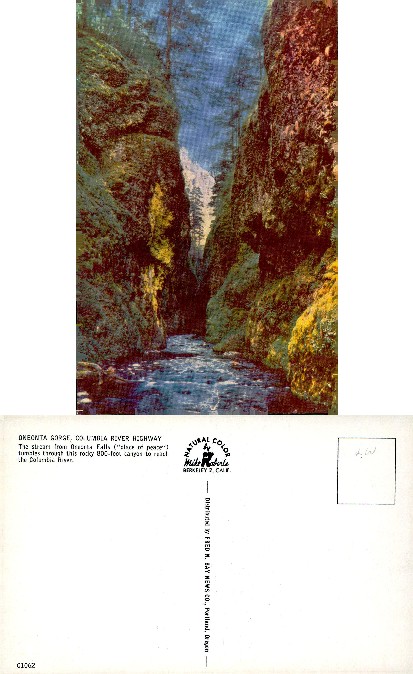Oneonta Gorge with Stream