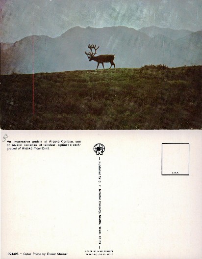 Alaska Caribou and Mountains