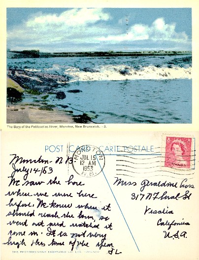 Petitcodiac River Bore, Waves