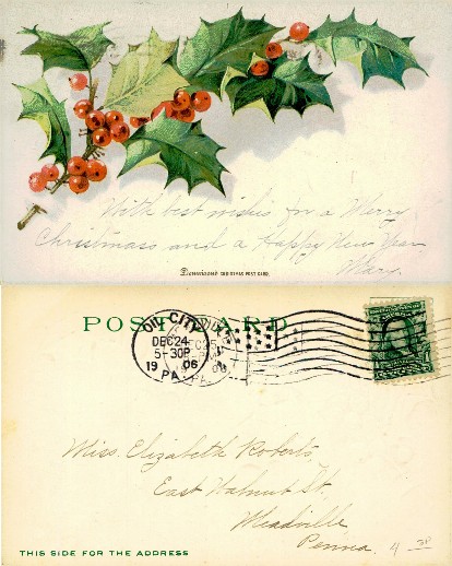 Holly and Berries Christmas Card