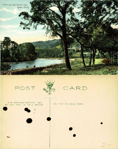 River Lee Landscape near Cork