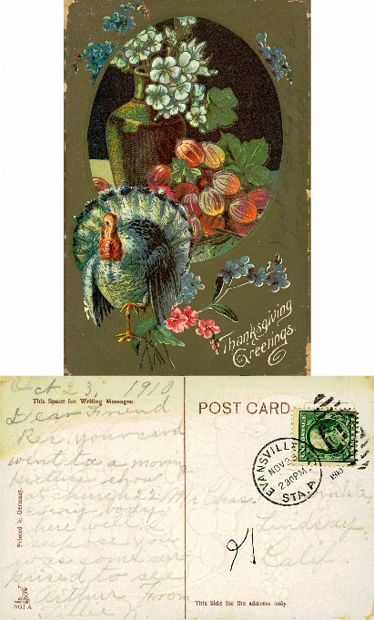 Thanksgiving Turkey, Flowers, Fruit