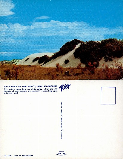 White Sand Dunes with Vegetation