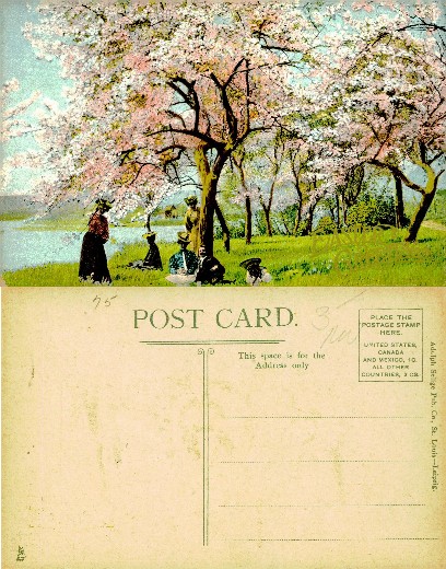 Blossoming Trees and People by Water