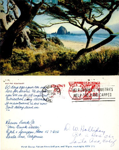 Coastal Trees and Sea Stack