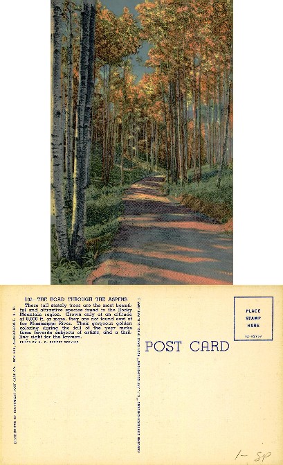The Road Through the Aspens