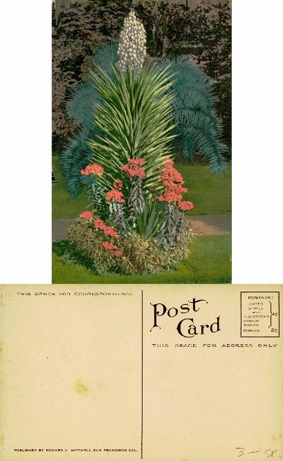 Exotic Garden Planting