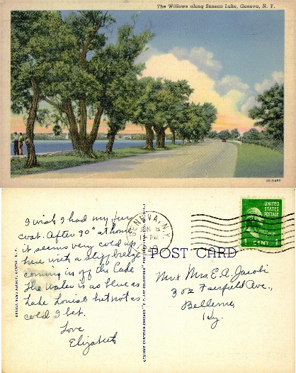 Willows along Seneca Lake Road