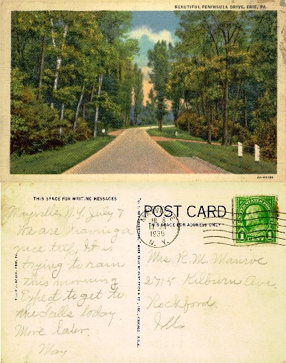 Tree-lined Road