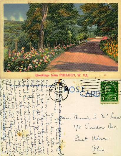 Winding Country Road with Flowers
