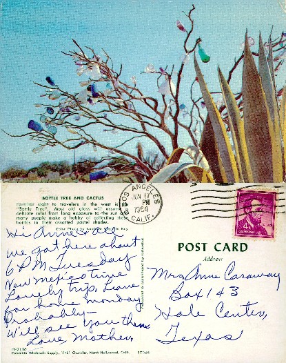 Bottle Tree and Cactus