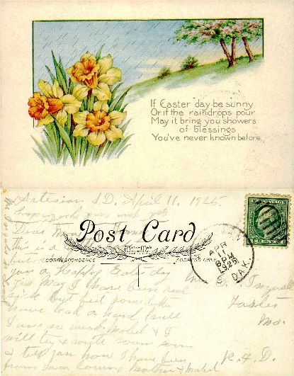 Easter Daffodils and Greeting