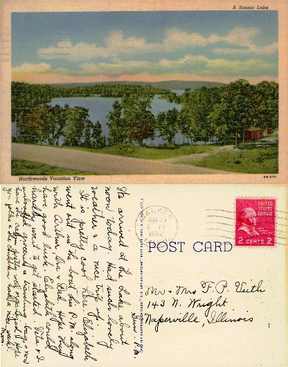 Scenic Lake and Forest View