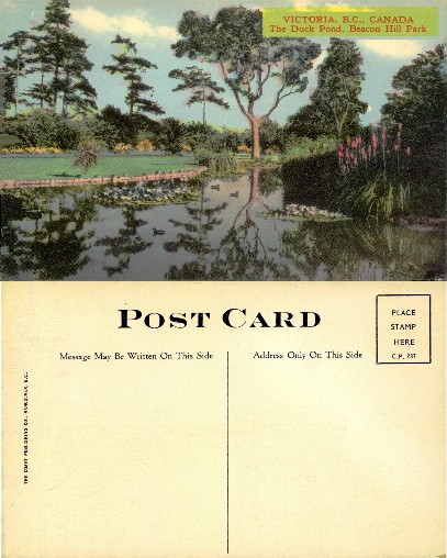 Duck Pond, Beacon Hill Park