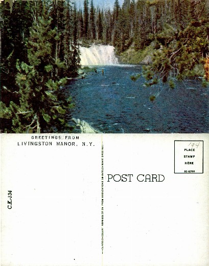 Forested River with Waterfall