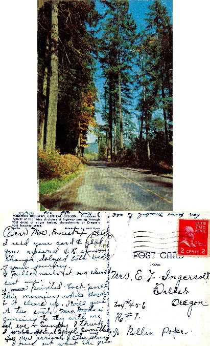 Highway through forest
