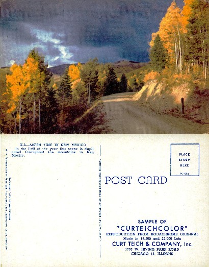 Aspen Trees on Mountain Road, Fall