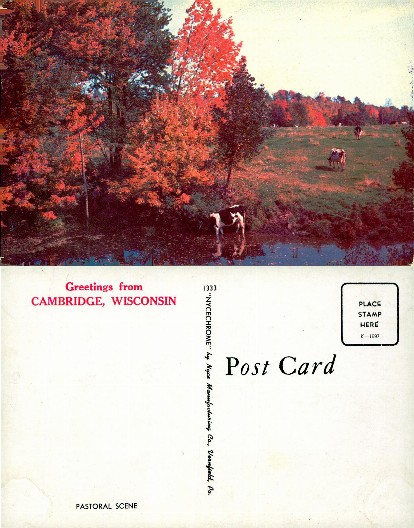 Autumn Landscape with Cows by Stream