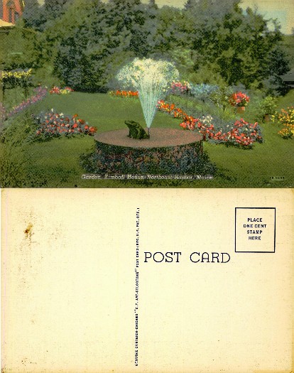 Garden with Frog Fountain