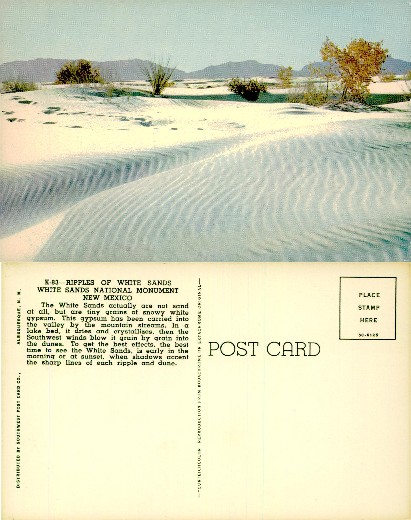 Ripples in White Sand Dunes with Plants