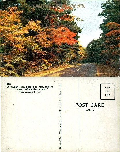 Country Road in Autumn