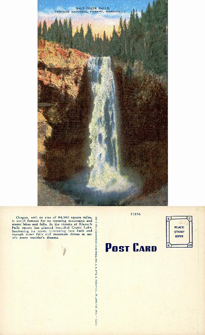 Salt Creek Falls, Cascade Forest