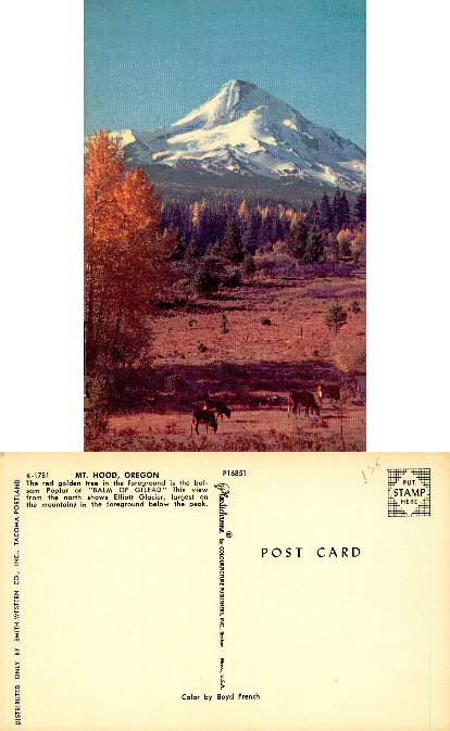 Mt. Hood with Autumn Trees and Deer