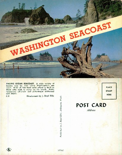 Washington Seacoast Beach Scene