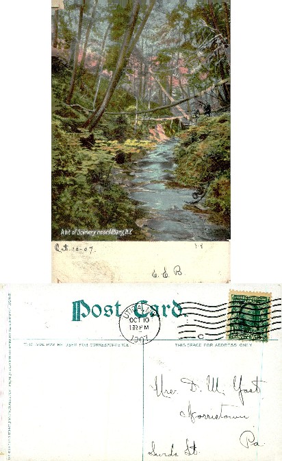 Stream in Forest near Albany